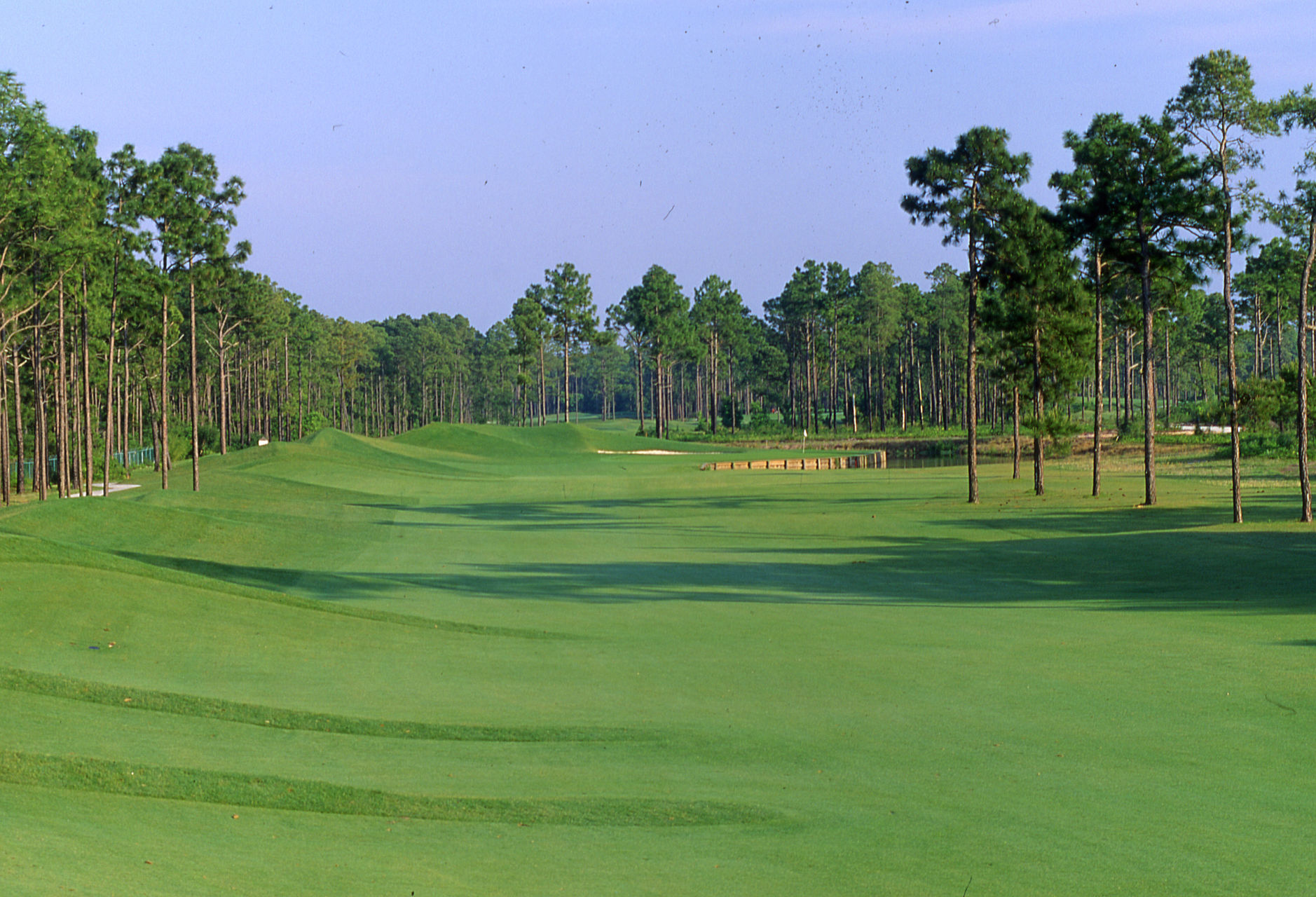 robert cupppalmetto hall, hilton head, South Carolina Golf course robert cupppalmetto hall, hilton head, South Carolina Golf course